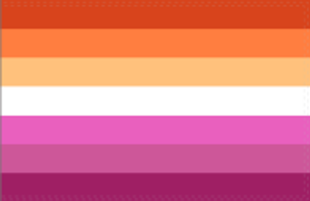 Lesbian Sunset Flag - Rough Tex