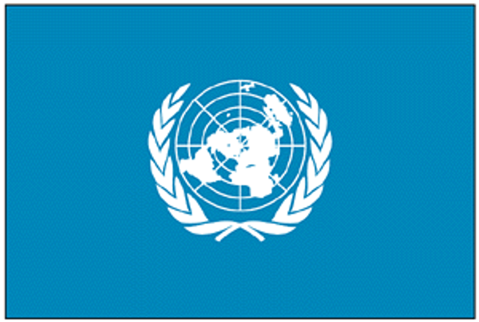 Buy United Nations Un Flag 3 X 5 Ft For Sale