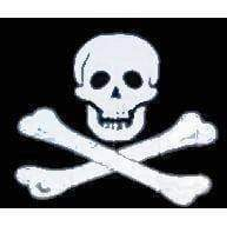 Buy Pirate Flag 12 x 18 inch on Stick for sale Death Zone, No Prisoners ...