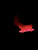 Lite Brite 22 Rimfire Empty Chamber Indicator (ECI)