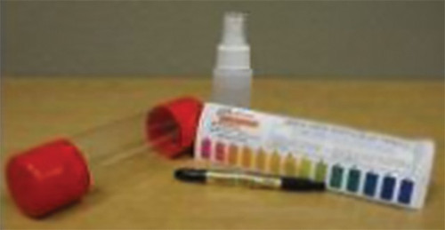 This Stuff Works TSWPHPEN PH Pencil Kit
