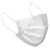 Great Neck 26045 White Great Neck Disposable Personal Safety Mask, 50-Pack