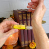 Shadow Scents Gold Perfume Oil - 1/3 oz. roll-on, pictured being held in hands with a background of books, flowers, and salt lamp.