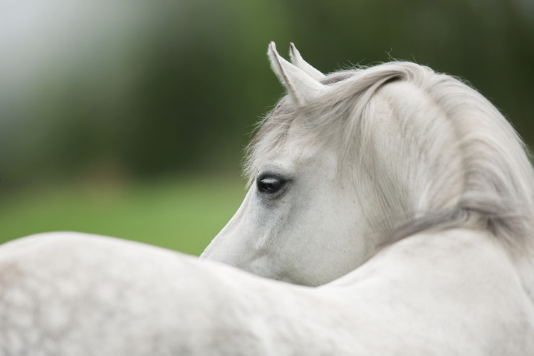 Summer: A time for growth... & change!