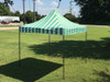 10'x10' D Model Green Stripe - Pop Up Canopy Tent EZ  Instant Shelter w Wheel Bag + Sand Bags