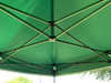10'x10' D/S Model Forest Green - Pop Up Canopy Tent EZ  Instant Shelter w Wheel Bag + Sand Bags + 4 Walls