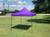 10'x10' D/W Model Purple - Pop Up Canopy Tent EZ  Instant Shelter w Wheel Bag + Sand Bags + 4 Walls