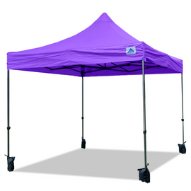 10'x10' D/W Model Purple - Pop Up Canopy Tent EZ  Instant Shelter w Wheel Bag + Sand Bags + 4 Walls