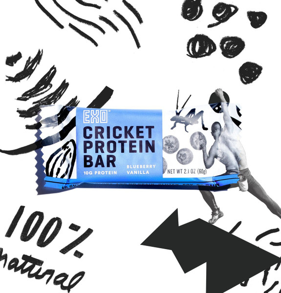 EXO Cricket Protein Bars Blueberry Vanilla 12 Bars www.battleboxuk.com