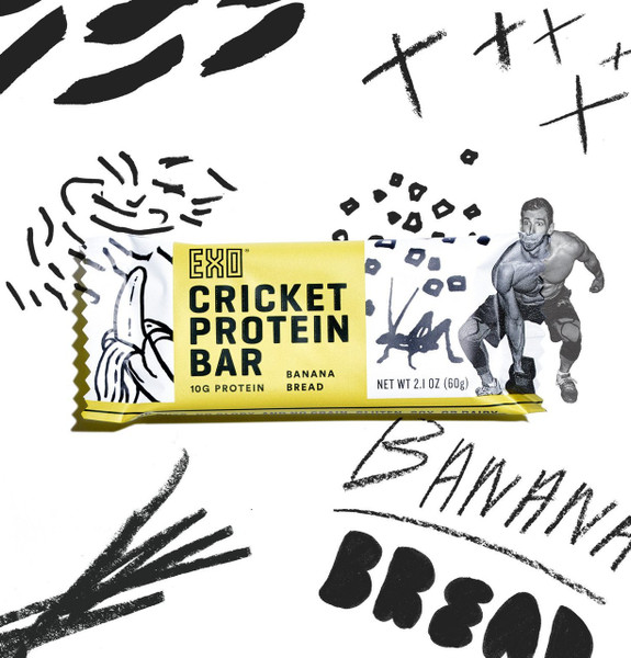 EXO Cricket Protein Bars Banana Bread Vanilla 12 Bars www.battleboxuk.com