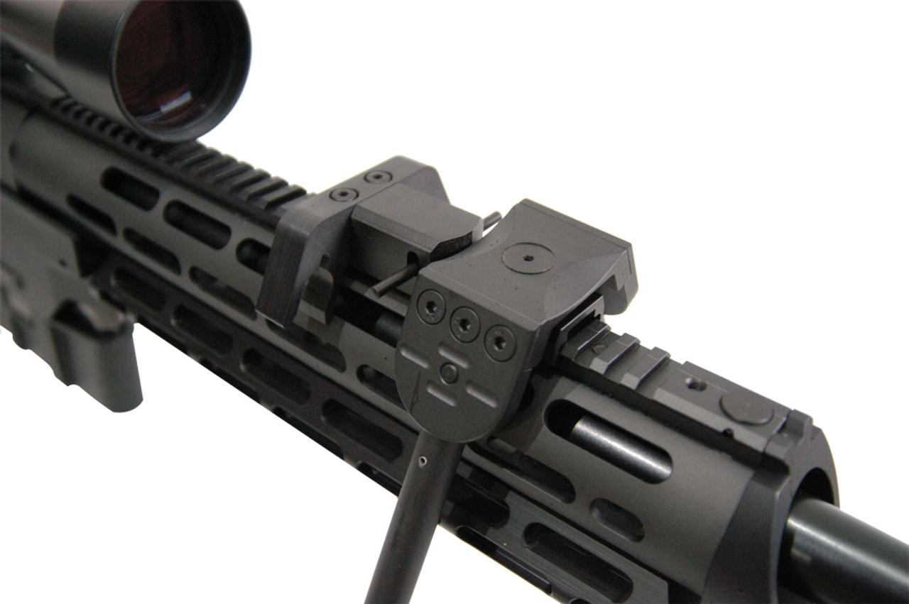 dsr 50 iron sights