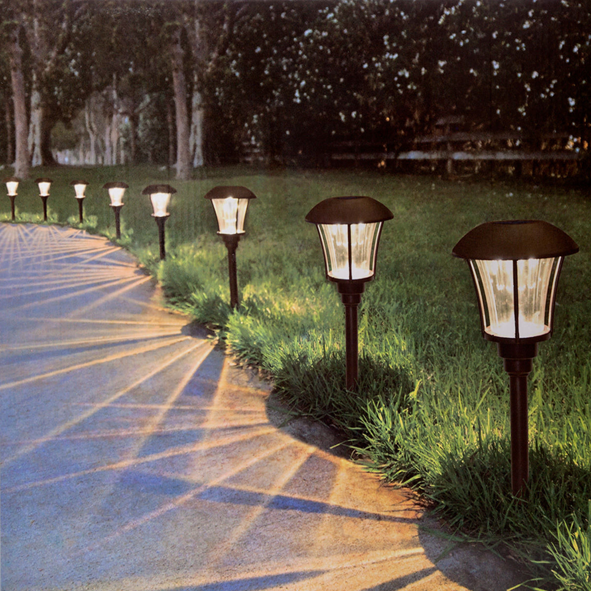 Alpan SmartYard LED Solar Pathway Lights (Pack of 8)