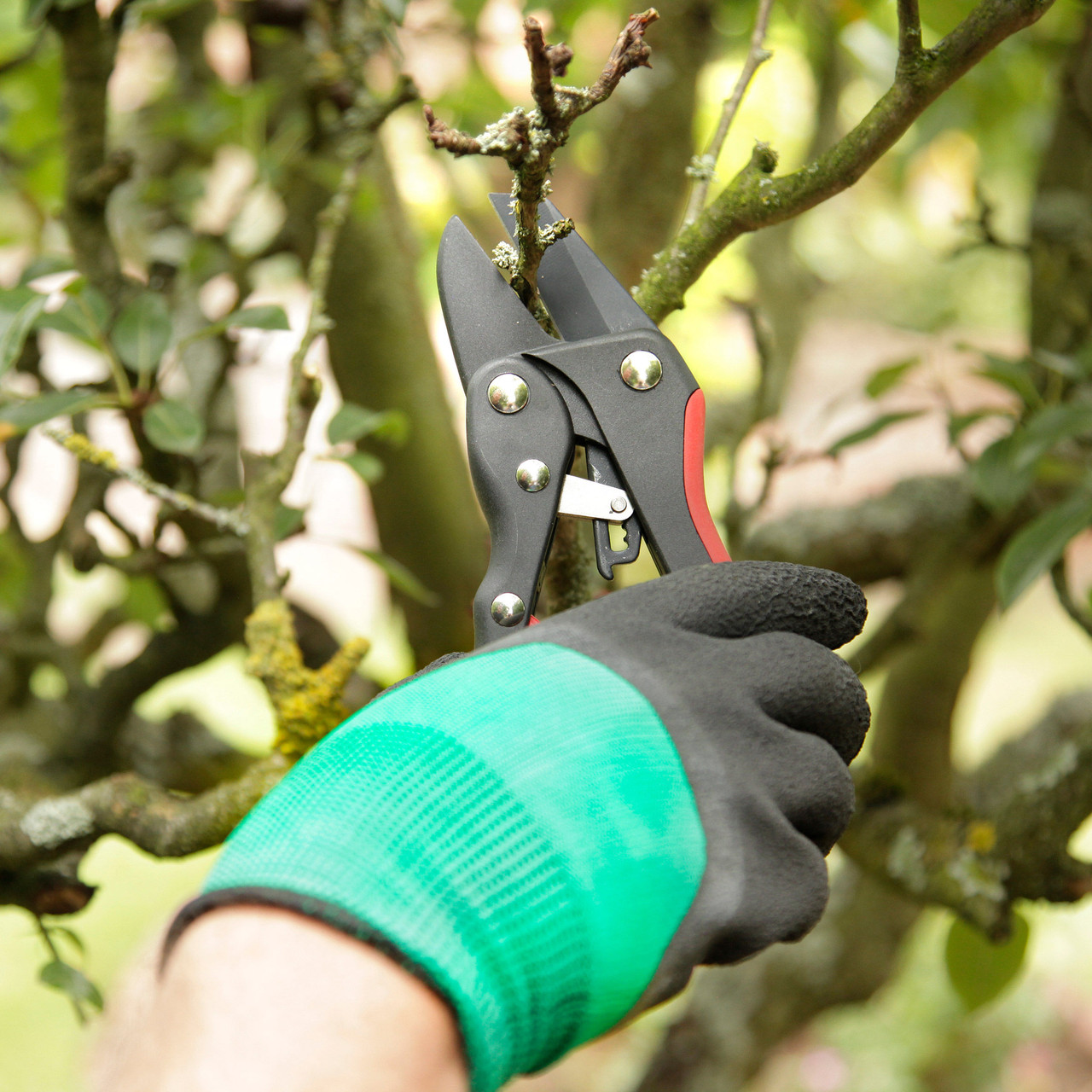 Spear & Jackson Ratchet Mini Lopper & Anvil Sec Toolstop