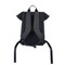 EcoFlow RIVER 2 Travel BackPack