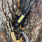 LiteZall 24556 Mini Rechargeable Flashlight and Task Light 120 Lumens 5