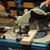 Buy Makita LF1000 Flipover Saw 10in/260mm 110V at Toolstop