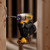 Dewalt DCK2110L2T 12V XR Sub Compact Twin Pack - DCD701 Drill Driver + DCF801 Impact Driver (2 x 3.0Ah Batteries) - 2