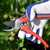 Spear & Jackson 7458AS Razorsharp Geared Anvil Secateurs - 1