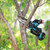 Makita DUC150RT 18V LXT Pruning Saw 3