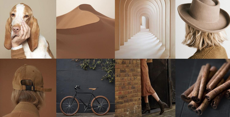 TRENDING NOW: Warm Earthen Tones