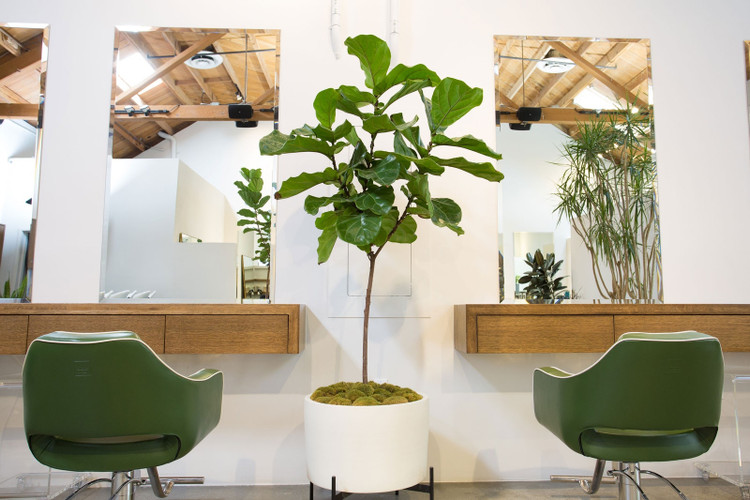 Salon Interior Design Trends
