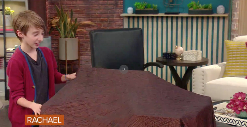 11-Year Old Rachael Ray Show Guest Gets a New Styling Chair from Minerva Beauty