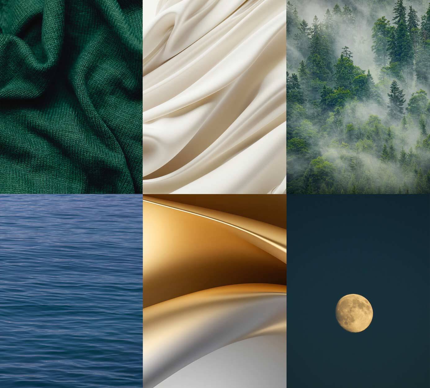 Which colors set the tone?