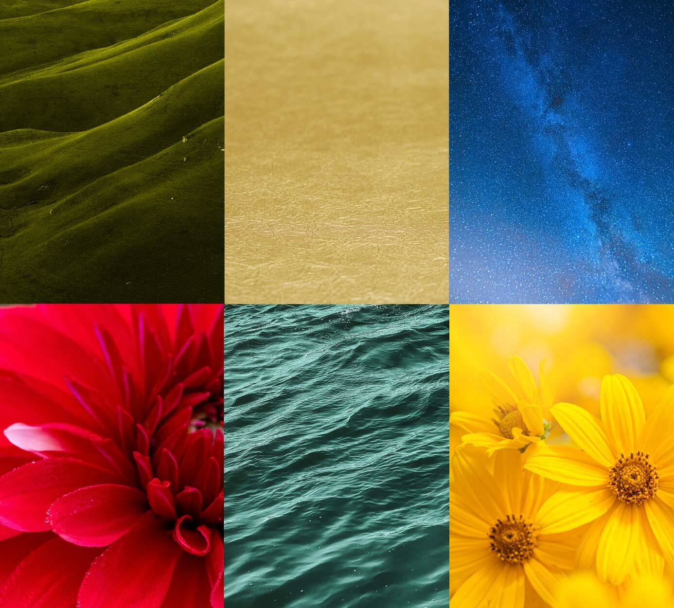 Which colors set the tone?