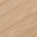 Eastern Walnut
