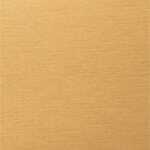 Brushed Gold