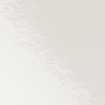 Glossy Dover White