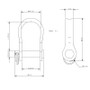 Allen Brothers 6MM X 39MM Strip D Shackle
