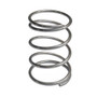 91024 Stainless Steel Spring 38mm ( Stand Up)- 2 Units Set