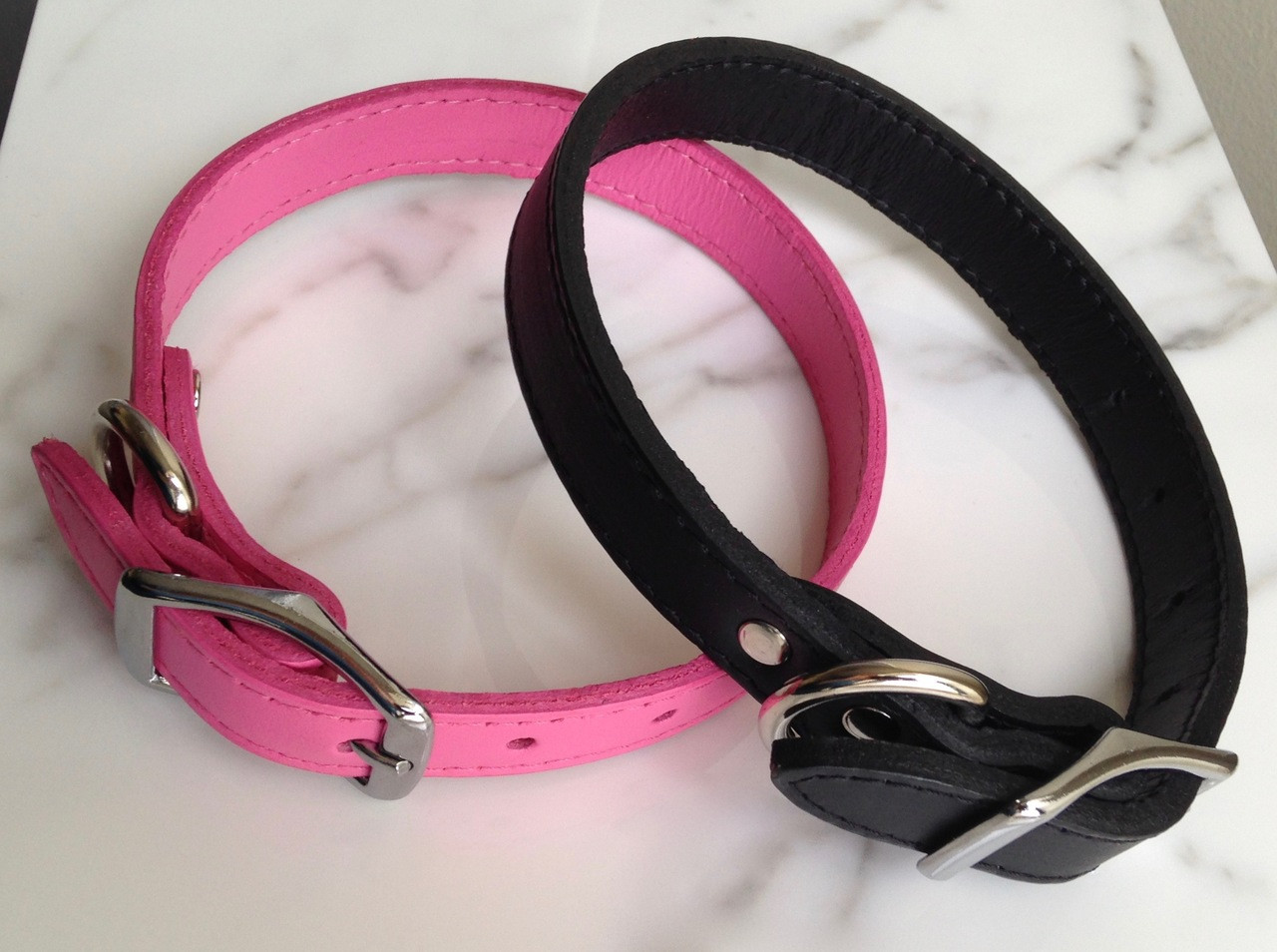 plain dog collars