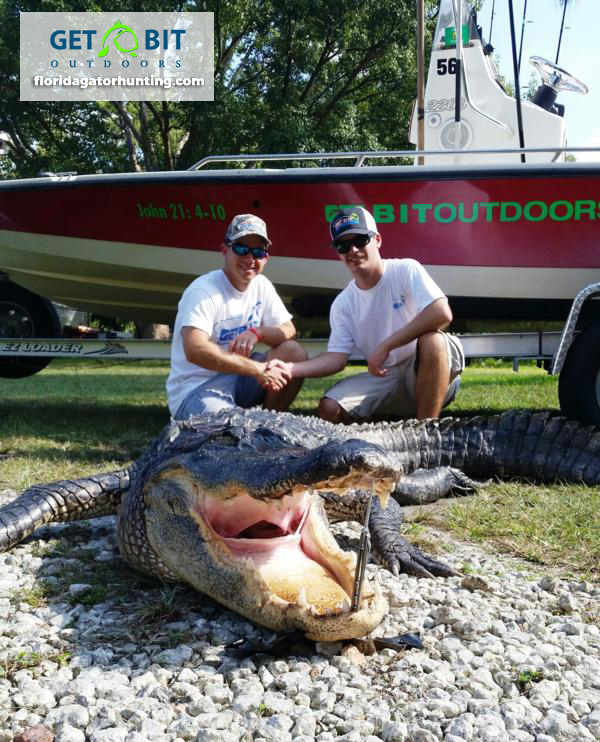 105030 Get Bit gator hunts florida kevin and john gator