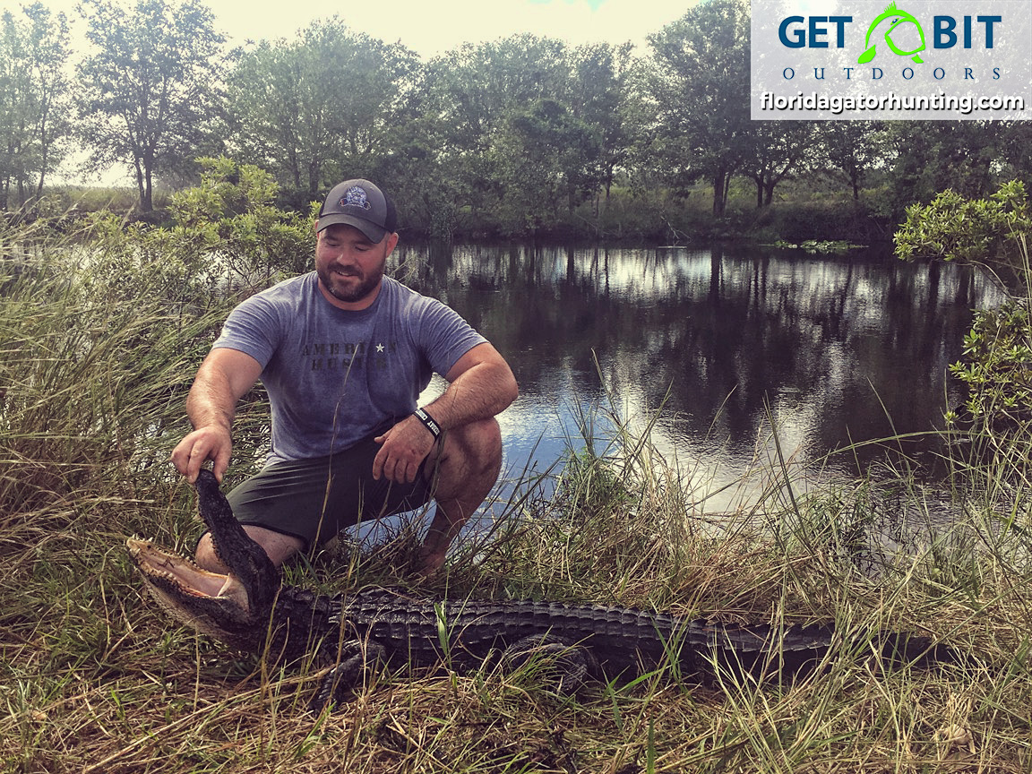 Red Hot Alligator Hunt