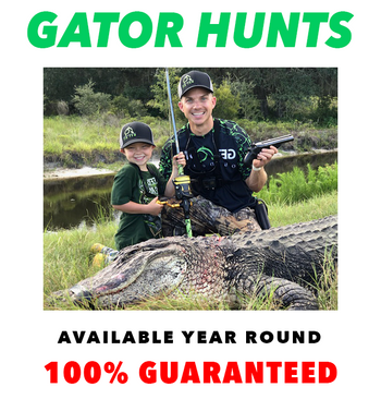 7-9 FT Gator Hunt