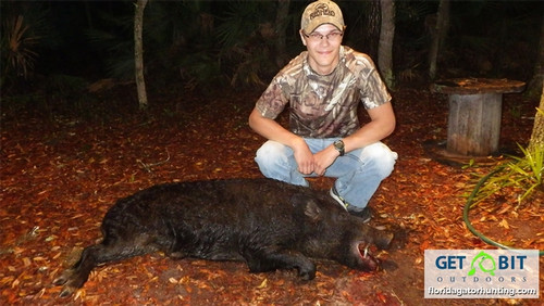 Boar with a Bow!