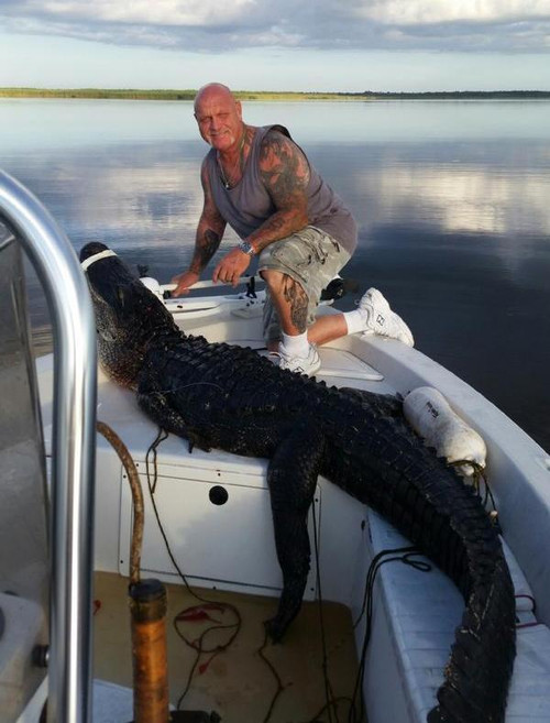 Dennis Monster Florida Gator Hunt