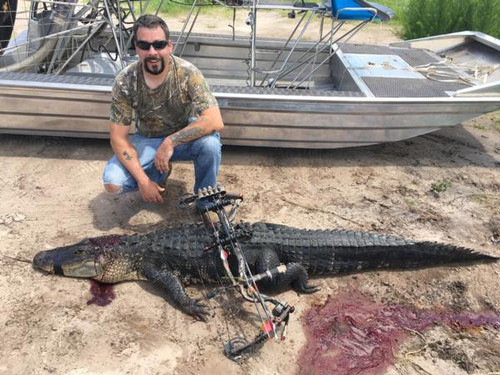 KM Monster Gator