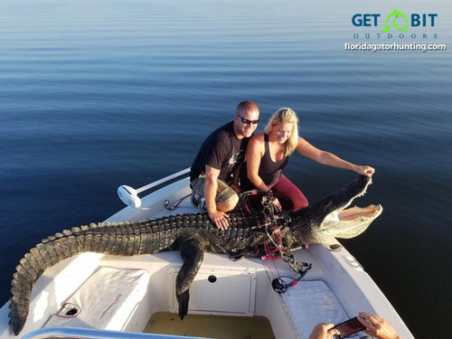 Tracy’s Monster Gator