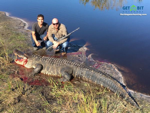 Definitely another BIG Gator!