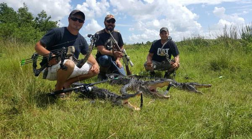 Daniel Giant Gator