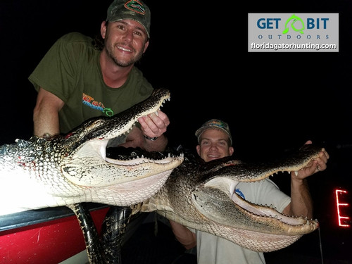 Gators=Belts, Wallets, Boots…