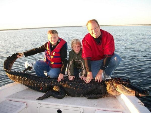 Family Gator Hunt