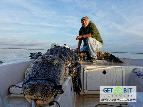 Gator’s Demise