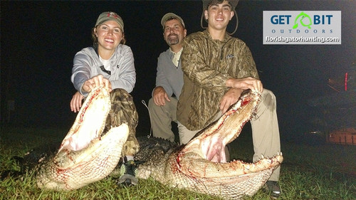 Harpoon Gator Surgeon