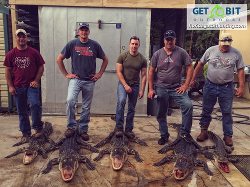 Pile O’ Gators!