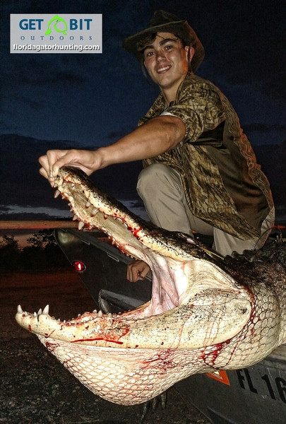 We hunt BIG Gators!
