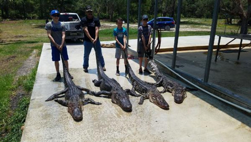 TJ Gator Hunt